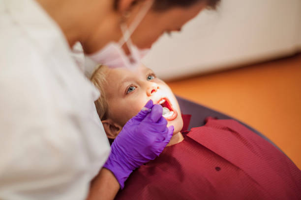 Best Emergency Dental Care for Broken or Chipped Teeth in Tarpon Springs, FL